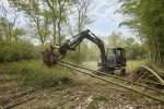 Machine pour arracher les bambous : quelle option choisir ?